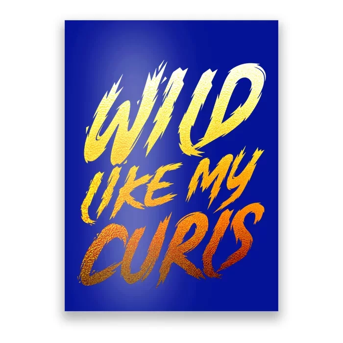 Wild Curls Curly Curls Wild Like My Curls Curly Gift Poster