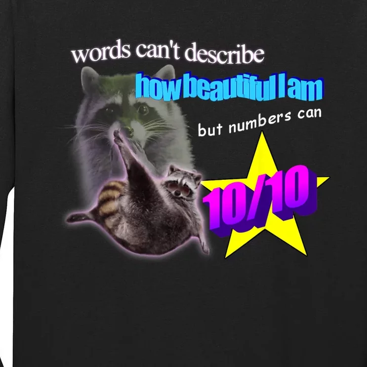 Words Cant Describe How Beautiful I Am But Numbers Can 10/10 Tall Long Sleeve T-Shirt