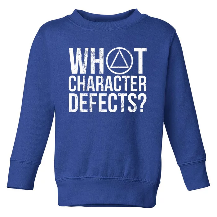 What Character Defects Funny Alcoholics Anonymous Toddler Sweatshirt