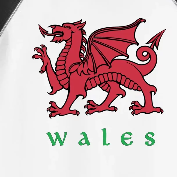 Wales Cute Gift Welsh Red Dragon Cymru Toddler Fine Jersey T-Shirt