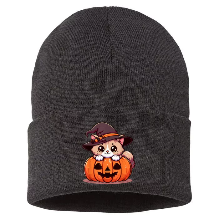 Witch Cat & Pumpkin Halloween Cute Sustainable Knit Beanie