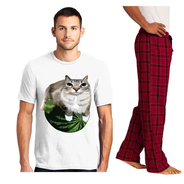 Watermelon Cat Silly Cat Meme Pajama Set