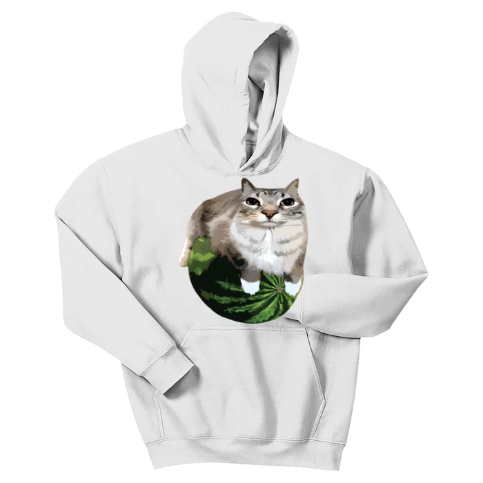 Watermelon Cat Silly Cat Meme Kids Hoodie