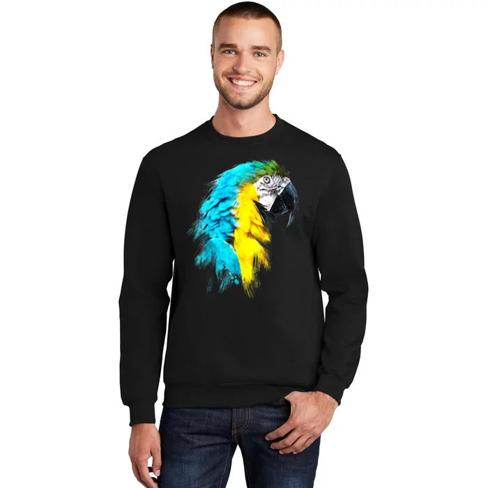 Watercolor Colourful Scarlet Macaw Parrot Bird Painting Sweatshirt