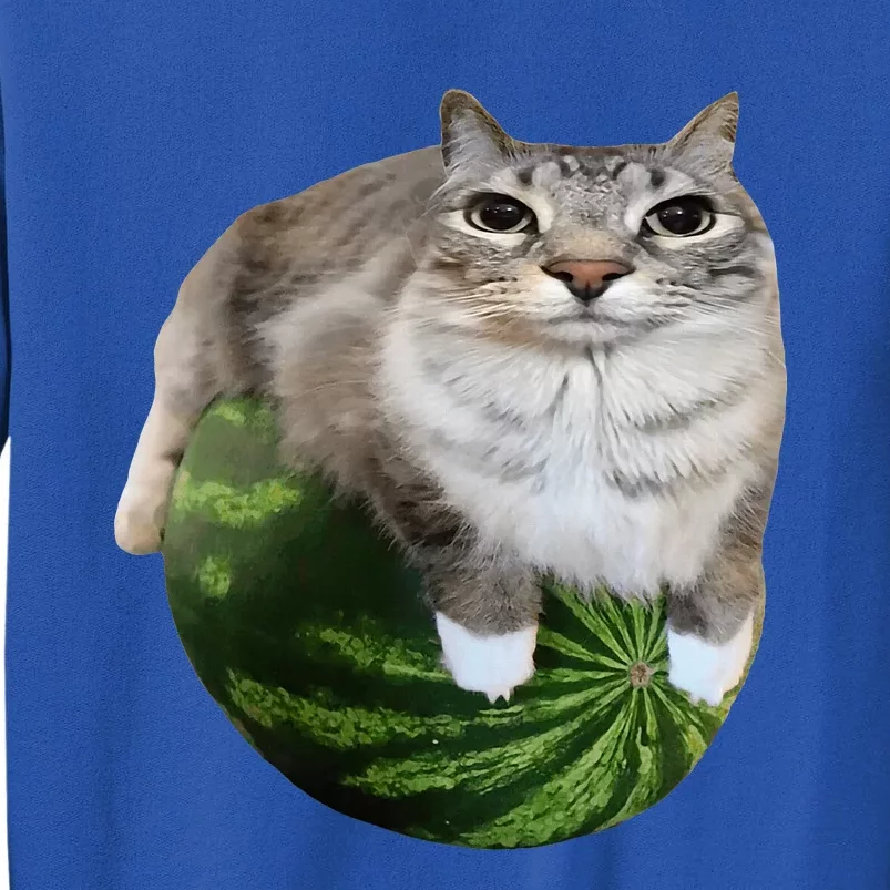 Watermelon Cat Silly Cat Meme Sweatshirt