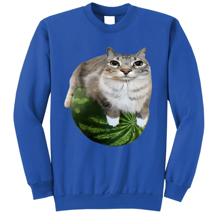 Watermelon Cat Silly Cat Meme Sweatshirt