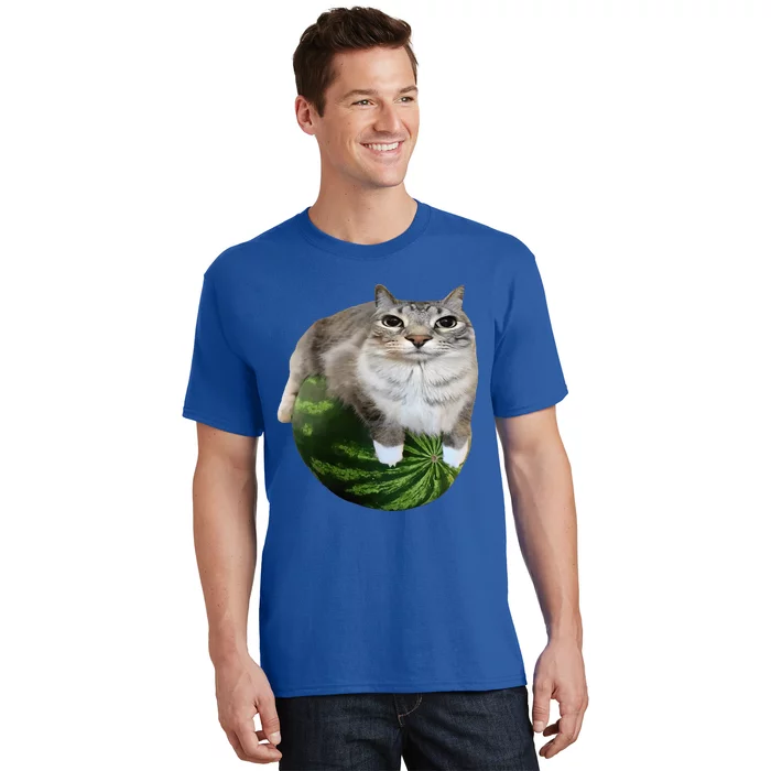 Watermelon Cat Silly Cat Meme T-Shirt