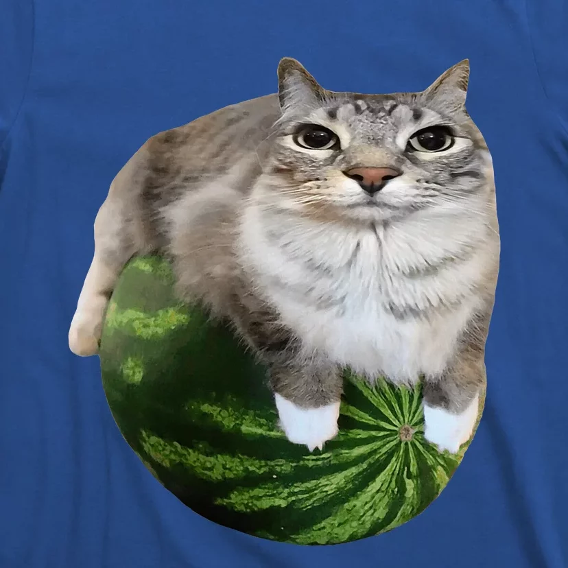 Watermelon Cat Silly Cat Meme T-Shirt