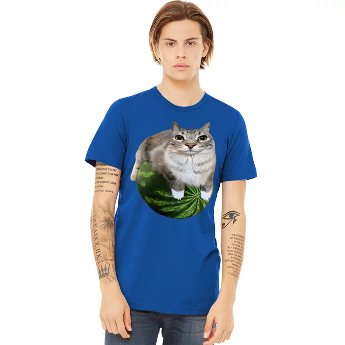 Watermelon Cat Silly Cat Meme Premium T-Shirt