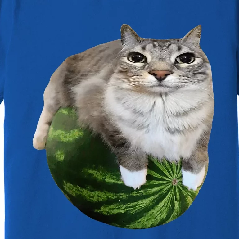 Watermelon Cat Silly Cat Meme Premium T-Shirt