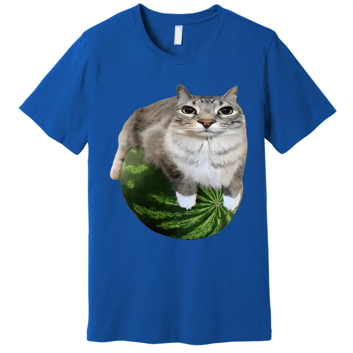 Watermelon Cat Silly Cat Meme Premium T-Shirt