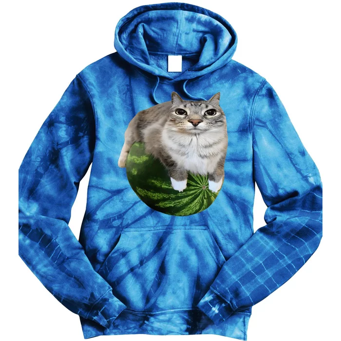 Watermelon Cat Silly Cat Meme Tie Dye Hoodie