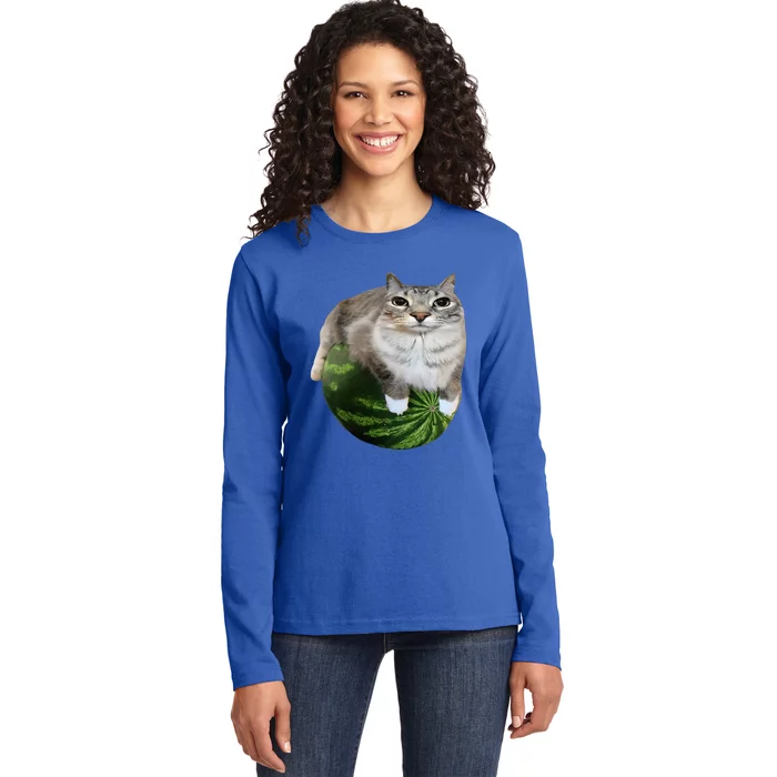 Watermelon Cat Silly Cat Meme Ladies Long Sleeve Shirt