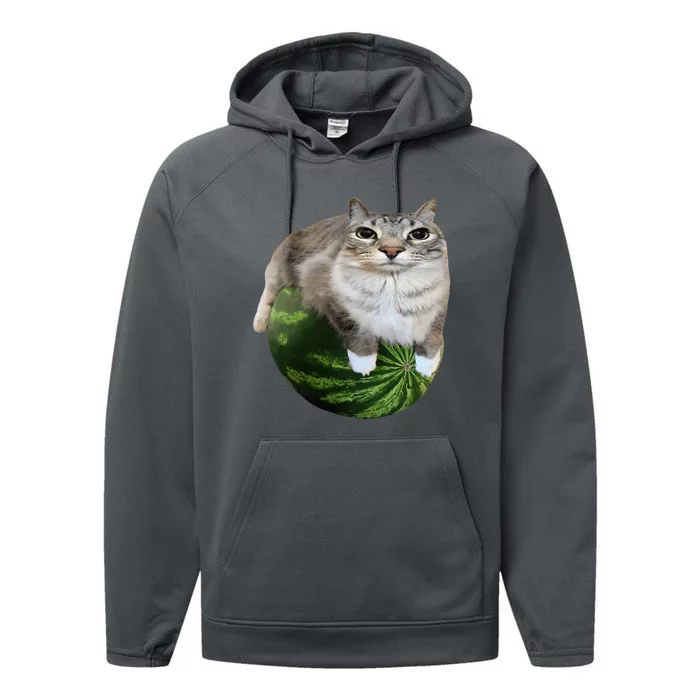 Watermelon Cat Silly Cat Meme Performance Fleece Hoodie