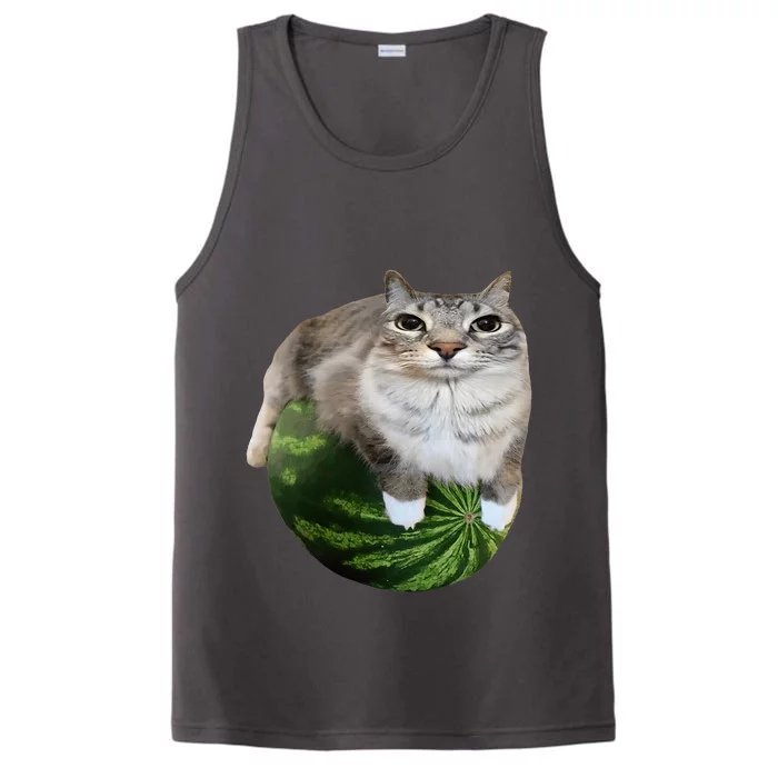 Watermelon Cat Silly Cat Meme Performance Tank