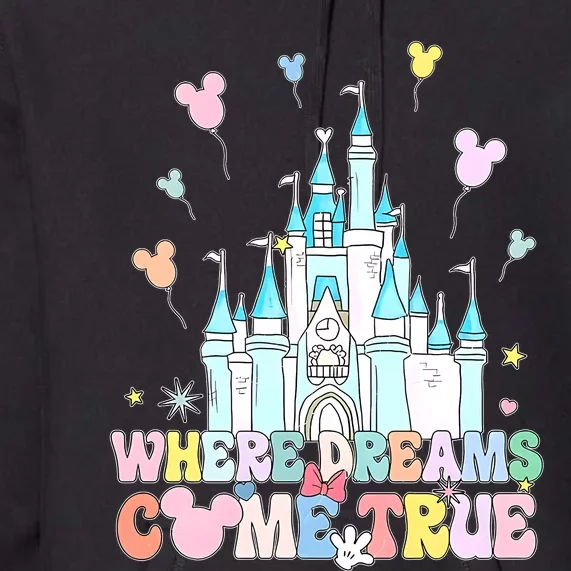 Where Dreams Come True Diz Nee Family Trip Castle Magic Kingdom Premium Hoodie