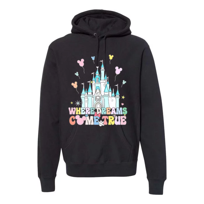 Where Dreams Come True Diz Nee Family Trip Castle Magic Kingdom Premium Hoodie