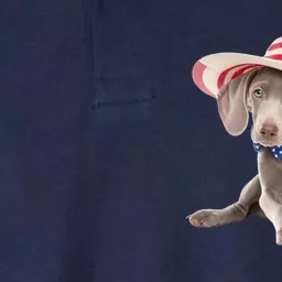 Weimaraner Dog Cute Weimaraners Puppy USA Flag Hat Softstyle Adult Sport Polo