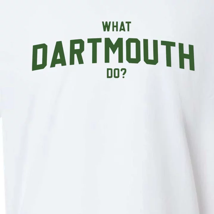 What Dartmouth Do Sueded Cloud Jersey T-Shirt