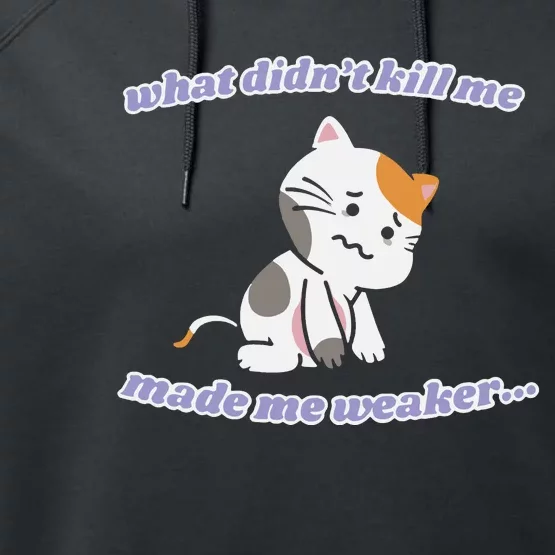 What Didnt Kill Me Made Me Weaker Performance Fleece Hoodie