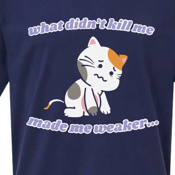 What Didnt Kill Me Made Me Weaker Sueded Cloud Jersey T-Shirt