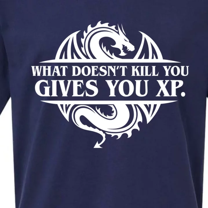 What Doesnt Kill You Give You Xp Tabletop Rpg Gaming Sueded Cloud Jersey T-Shirt