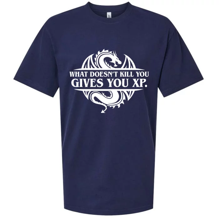 What Doesnt Kill You Give You Xp Tabletop Rpg Gaming Sueded Cloud Jersey T-Shirt