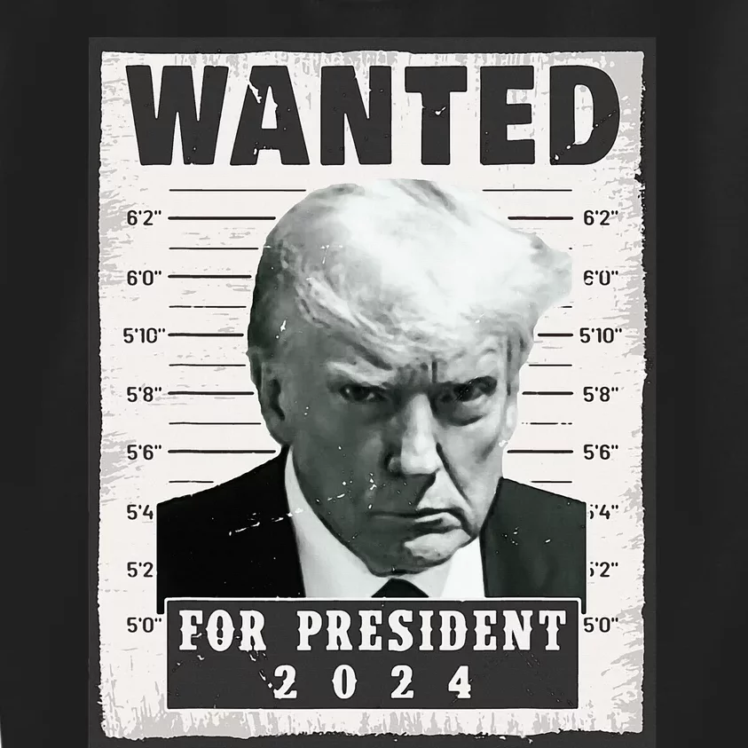 Wanted Donald Trump For President 2024 Trump Mug Shot Kids Sweatshirt