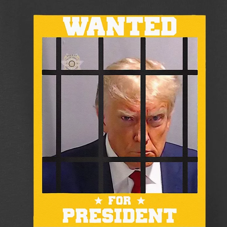 Wanted Donald Trump For President 2024 Trump Mugshot Toddler T-Shirt