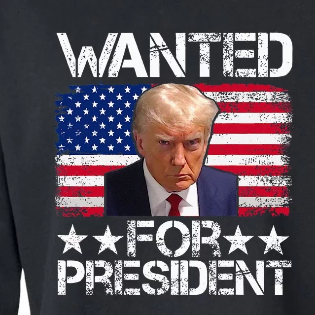 Wanted Donald Trump For President 2024 Trump Mug Shot Cropped Pullover Crew