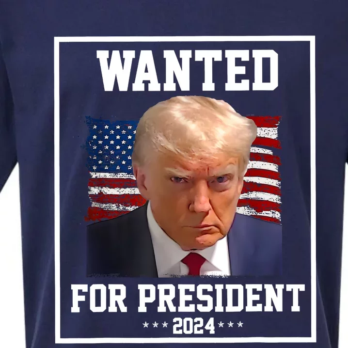 Wanted Donald Trump For President 2024 Sueded Cloud Jersey T-Shirt