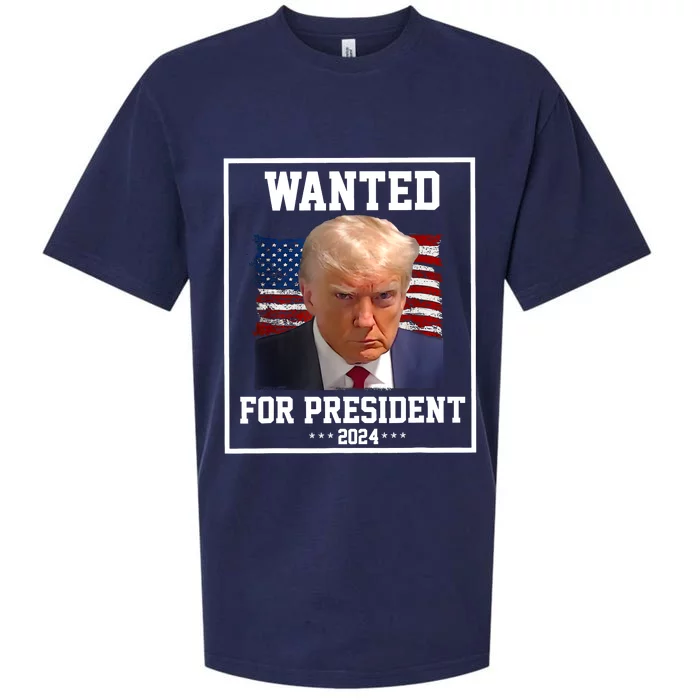 Wanted Donald Trump For President 2024 Sueded Cloud Jersey T-Shirt