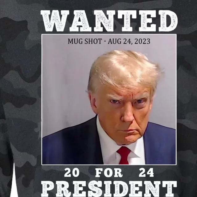 Wanted Donald Trump For President 2024 Cropped Pullover Crew