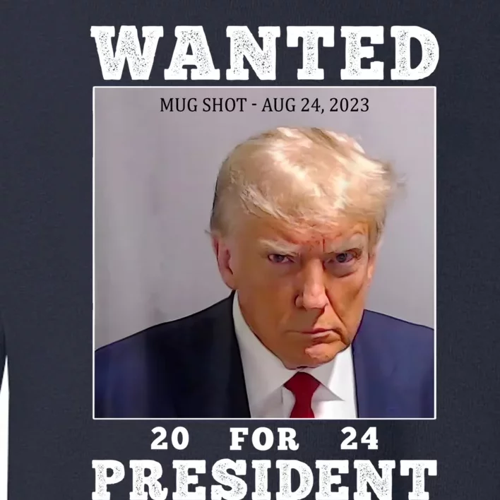 Wanted Donald Trump For President 2024 Toddler Sweatshirt