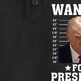 Wanted Donald Trump For President 2024 Dry Zone Grid Performance Polo