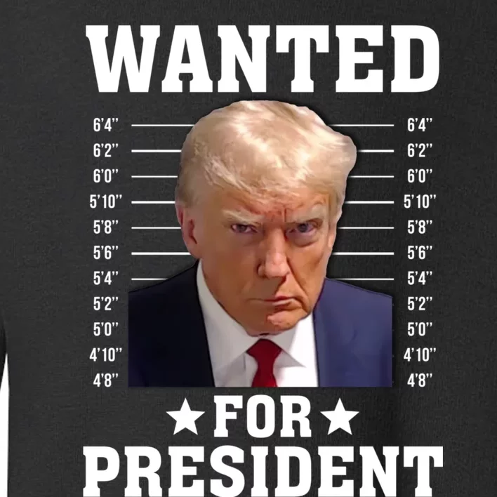 Wanted Donald Trump For President 2024 Toddler Sweatshirt