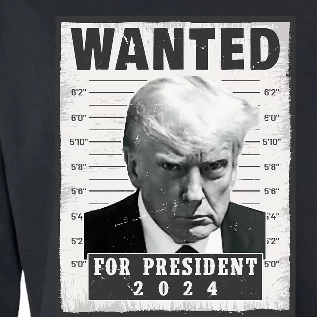 Wanted Donald Trump For President 2024 Trump Mug Shot Cropped Pullover Crew