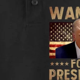 Wanted Donald Trump For President 2024 Trump Mug Shot Dry Zone Grid Performance Polo