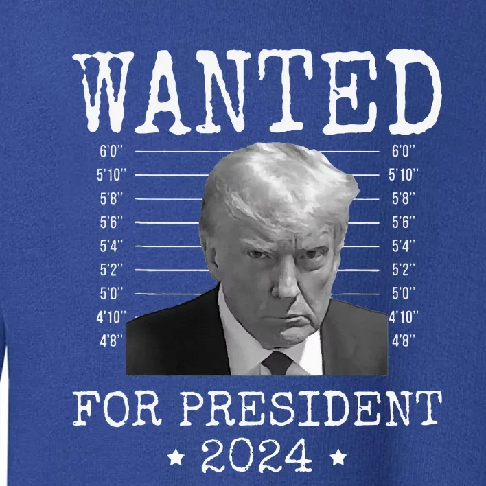 Wanted Donald Trump 2024 For President Never Surrender Toddler Sweatshirt