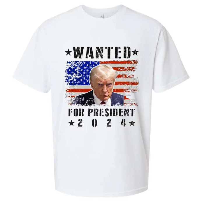 Wanted Donald Trump For President 2024 Trump Mug Shot Flag Sueded Cloud Jersey T-Shirt