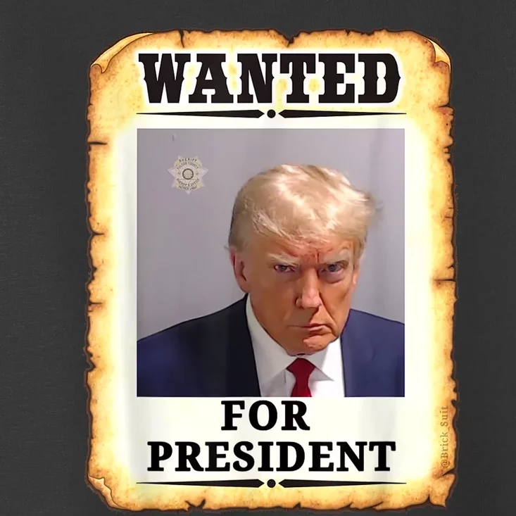 Wanted Donald Trump For President 2024 Toddler T-Shirt