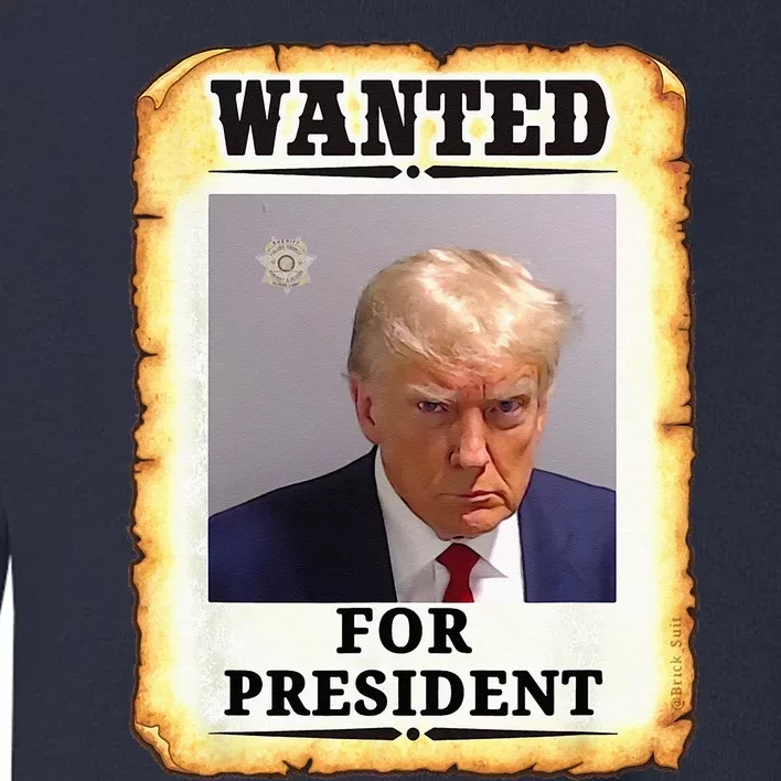 Wanted Donald Trump For President 2024 Toddler Sweatshirt