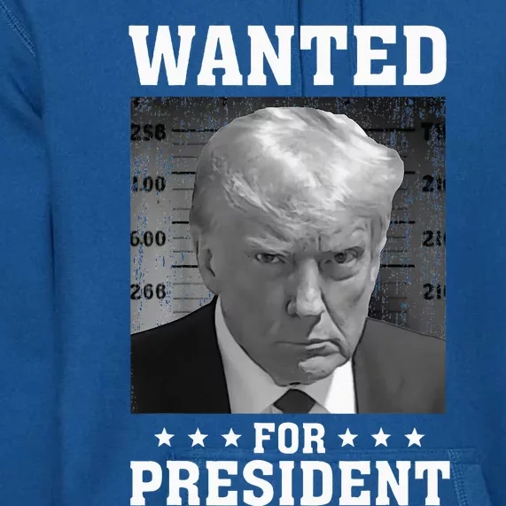 Wanted Donald Trump For President 2024 USA Flag Premium Hoodie