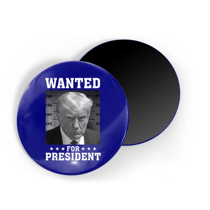 Wanted Donald Trump For President 2024 USA Flag Magnet