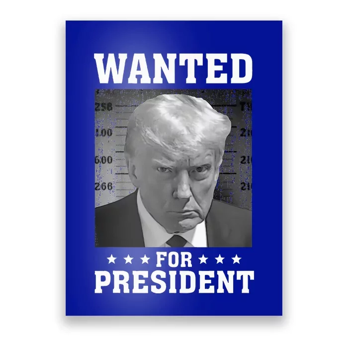 Wanted Donald Trump For President 2024 USA Flag Poster