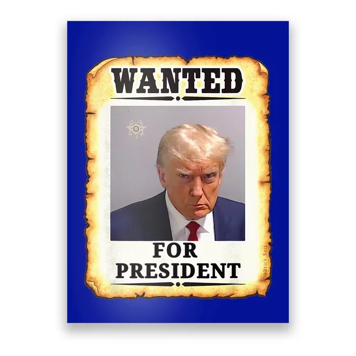 Wanted Donald Trump For President 2024 Poster