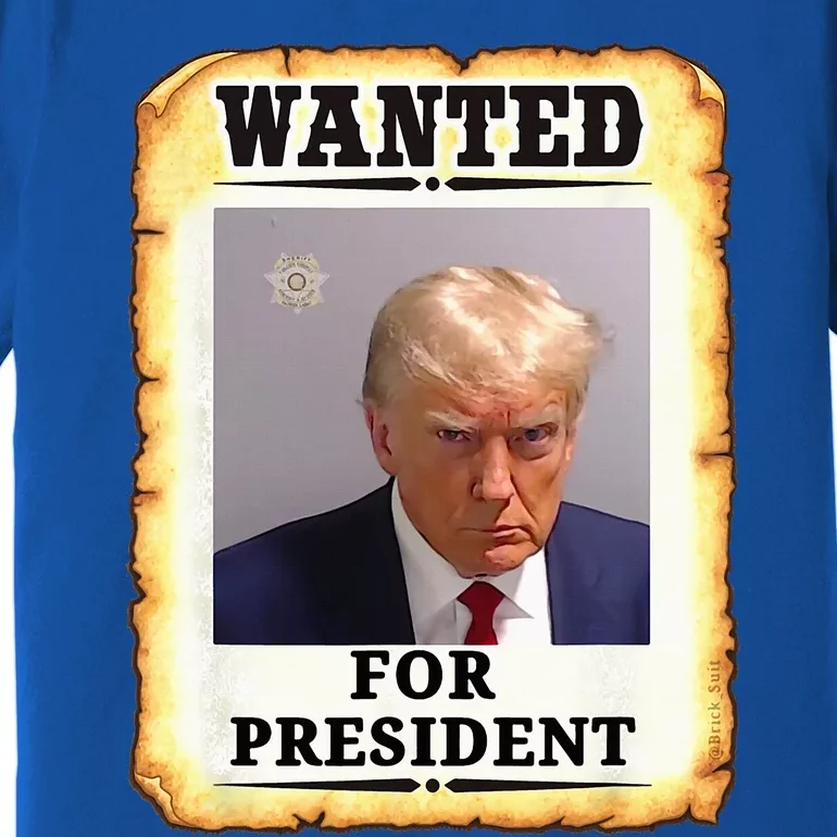 Wanted Donald Trump For President 2024 Premium T-Shirt