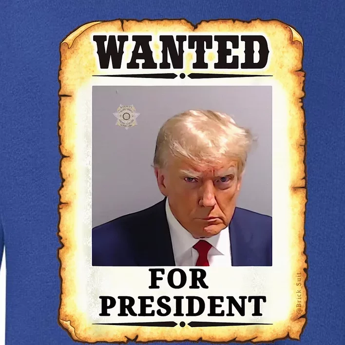 Wanted Donald Trump For President 2024 Toddler Sweatshirt