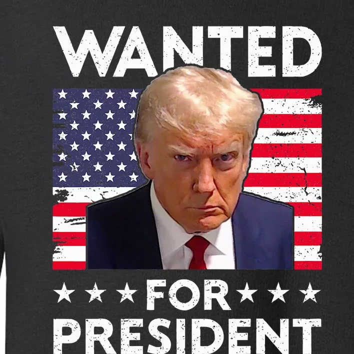 Wanted Donald Trump For President 2024 Trump Mug Shot Toddler Sweatshirt