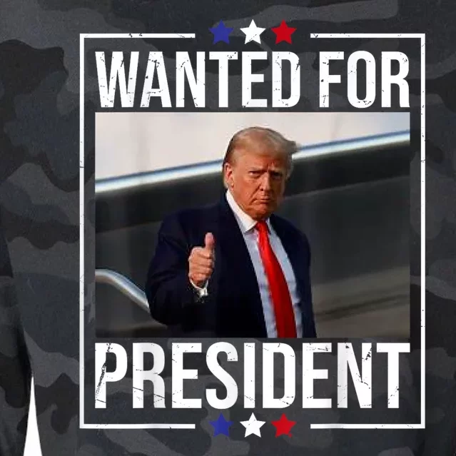 Wanted Donald Trump For President 2024 Trump Mug Shot USA Cropped Pullover Crew